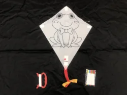 Customize Cheap Price Delta Kites Single Line Kites Diy And Non Woven Fabric Kite