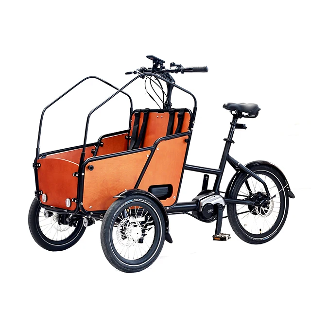 Aluminum alloy frame cargo trike throttle shift 250W 36V electric cargo trike