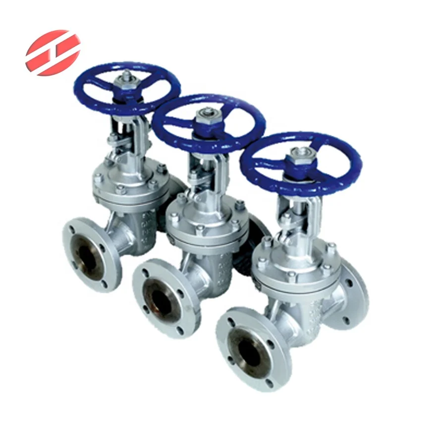 stainless steel universal standard globe valve