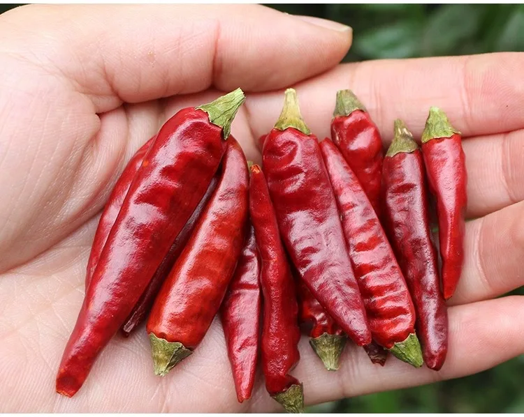 Air Dry Chilli Whole Chili