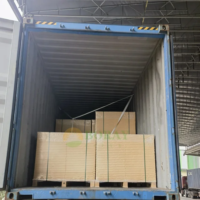 GC1  white carton paper /Amarican Bristol paper board