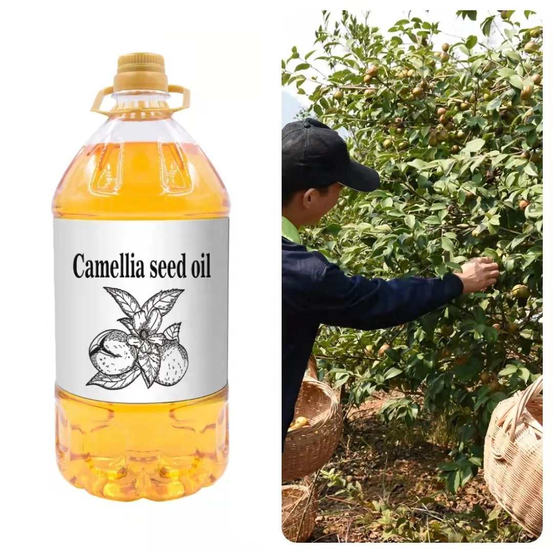 Manufacturer direct supply  hot sales cold pressed organic certified 100% pure edible camellia oil bulk (1600494797653)