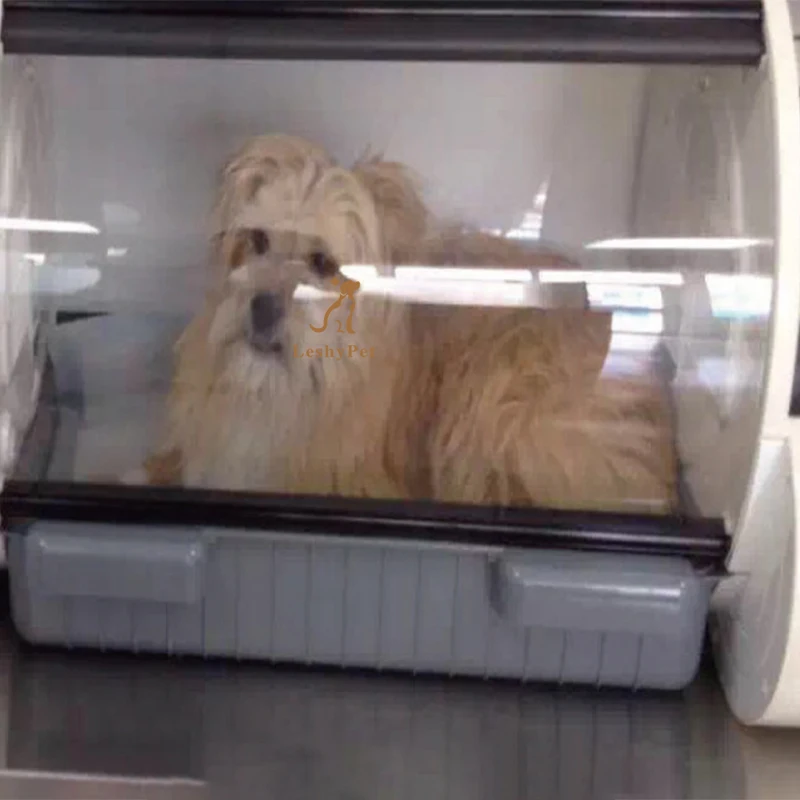 Leshypet Animal Medical Equipment Clinic Use ICU Pet incubator Portable incubator Vet Incubator For Dog Cat