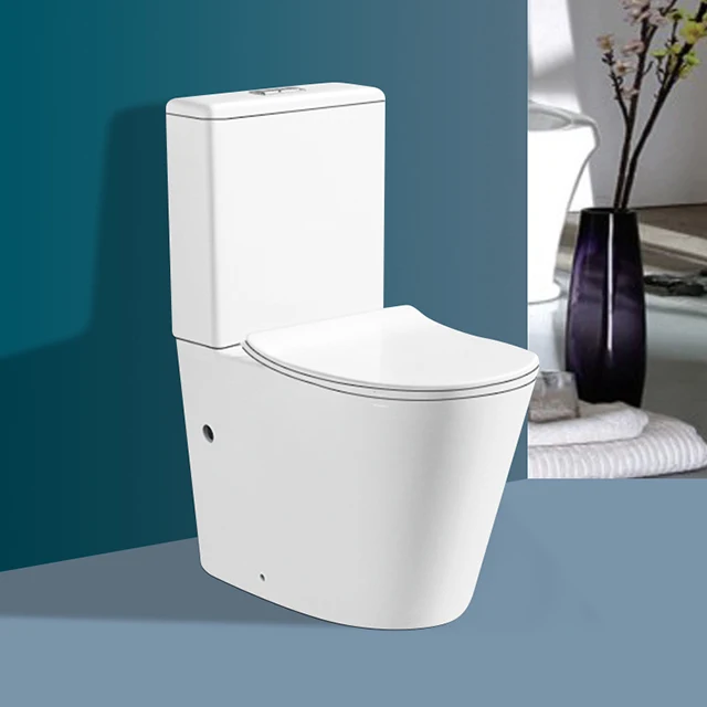 Popular Design In European Sanitary Ware Two Piece Back To Wall Close Coupled Toilet Supplier