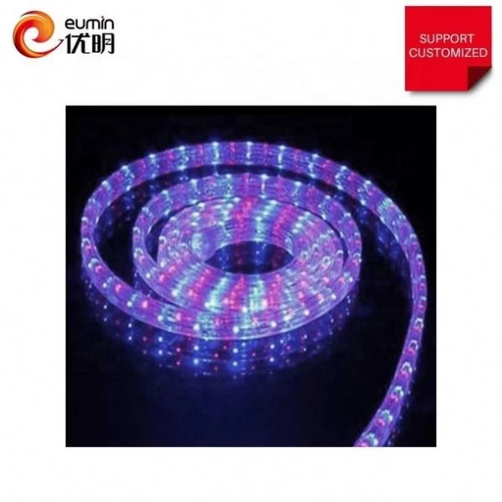 China Suppliers DC12V/24V 3 Wire led rope light 100m
