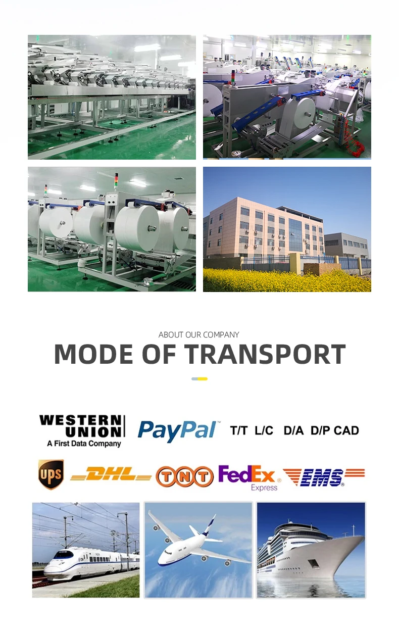 1215--shoes cleaning wipes