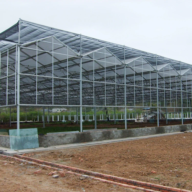 Four Season Low Cost Agricultural Fertigation Irrigation System Pc Sheet glass Greenhouse