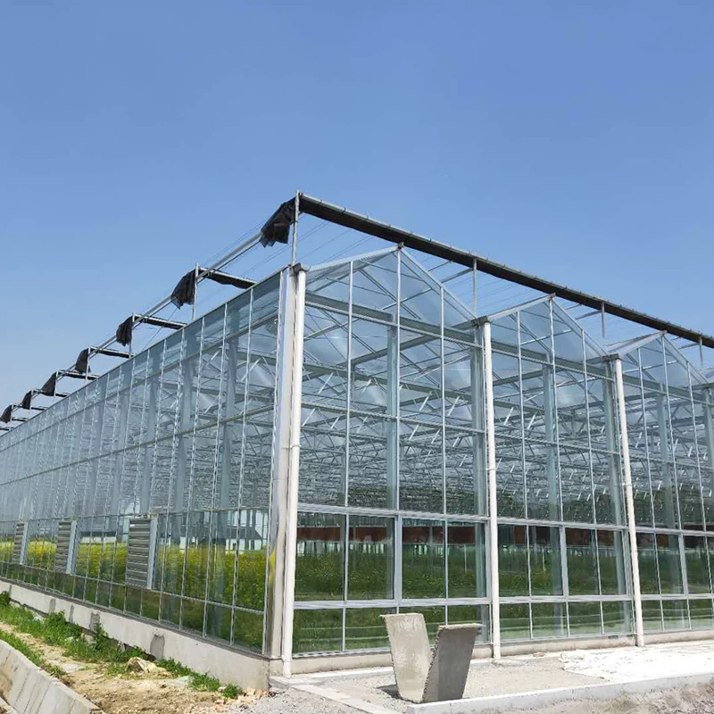 smart irrigation vertical hydroponic system agricultural farming Muti-span Venlo agriculture glass greenhouse