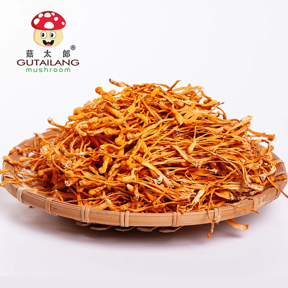 Wholesale Factory Food Chinese caterpillar fungus Plant Cordyceps flower Dried Mushroom Dried Coedyceps Flowest Cordyceps