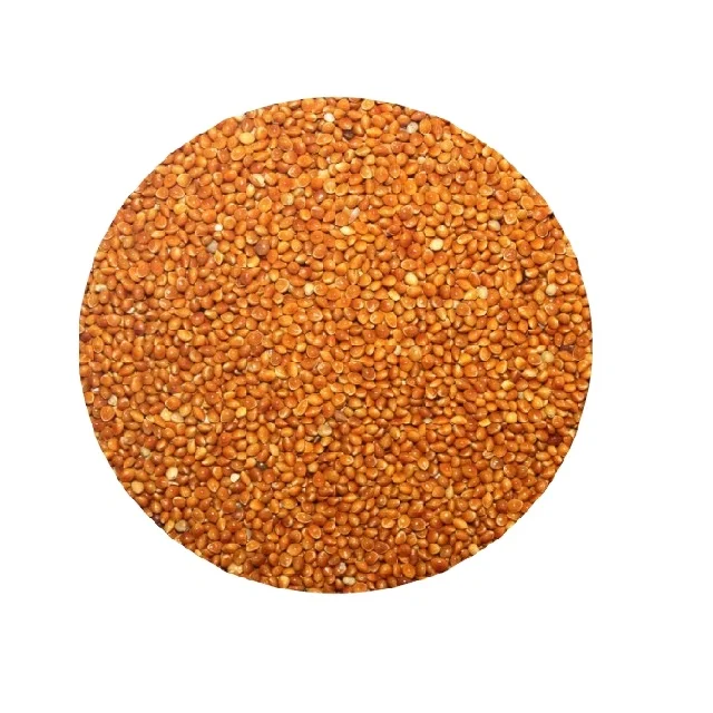 Organic best price millet grain from Kazakhstan