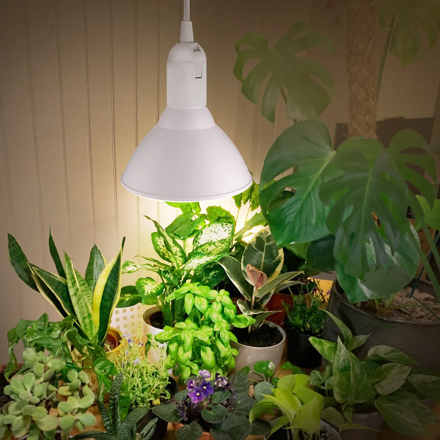 Par38 Plant grow lamp 15W full spectrum DIY horticulture led grow lights grow led light indoor plant led grow light plant grow s