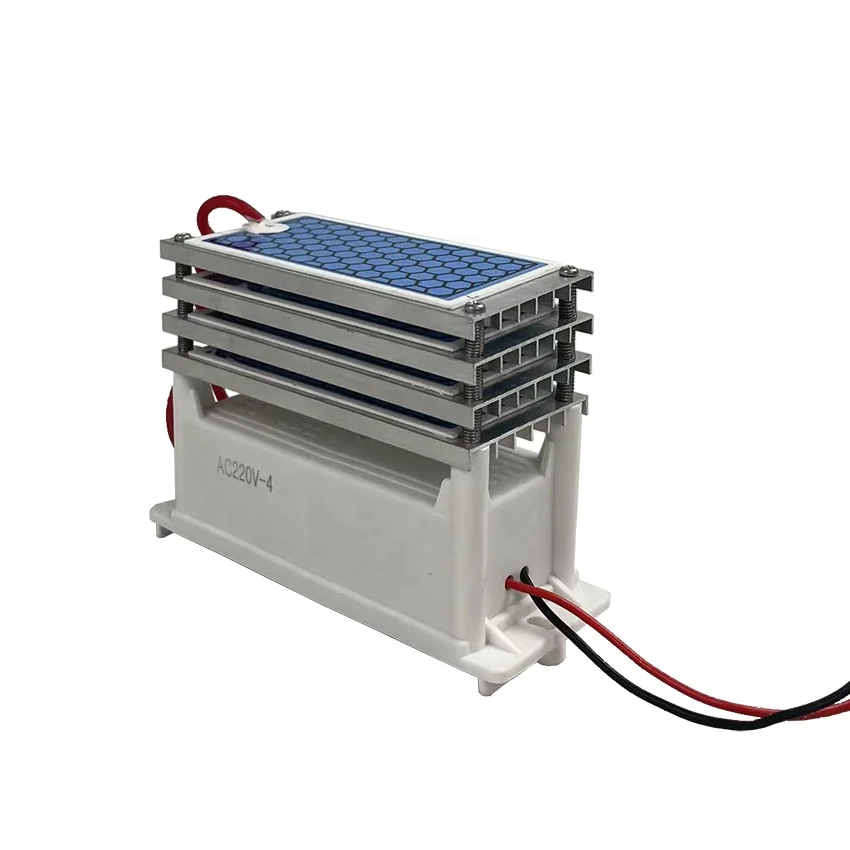 Ozone Generator - Ceramic Chip Ozone Generator - 5g/H,10g/H Output - Tank Heat Dissipation Upgrade