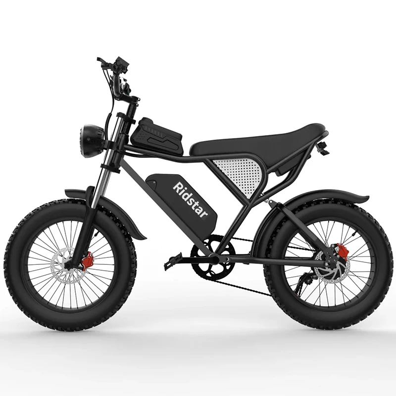 Ridsta Q20, 20 дюймов, 1000 Вт, 20 А/ч, 50 км/ч, электрический мотоцикл, электрический велосипед для взрослых, Электрический горный велосипед на заказ