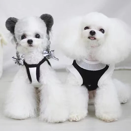 Dreamzoo Pet cat designer  Luxury Clothes Wear on both sides Pet Dog Winter Jacket luxury dog clothes