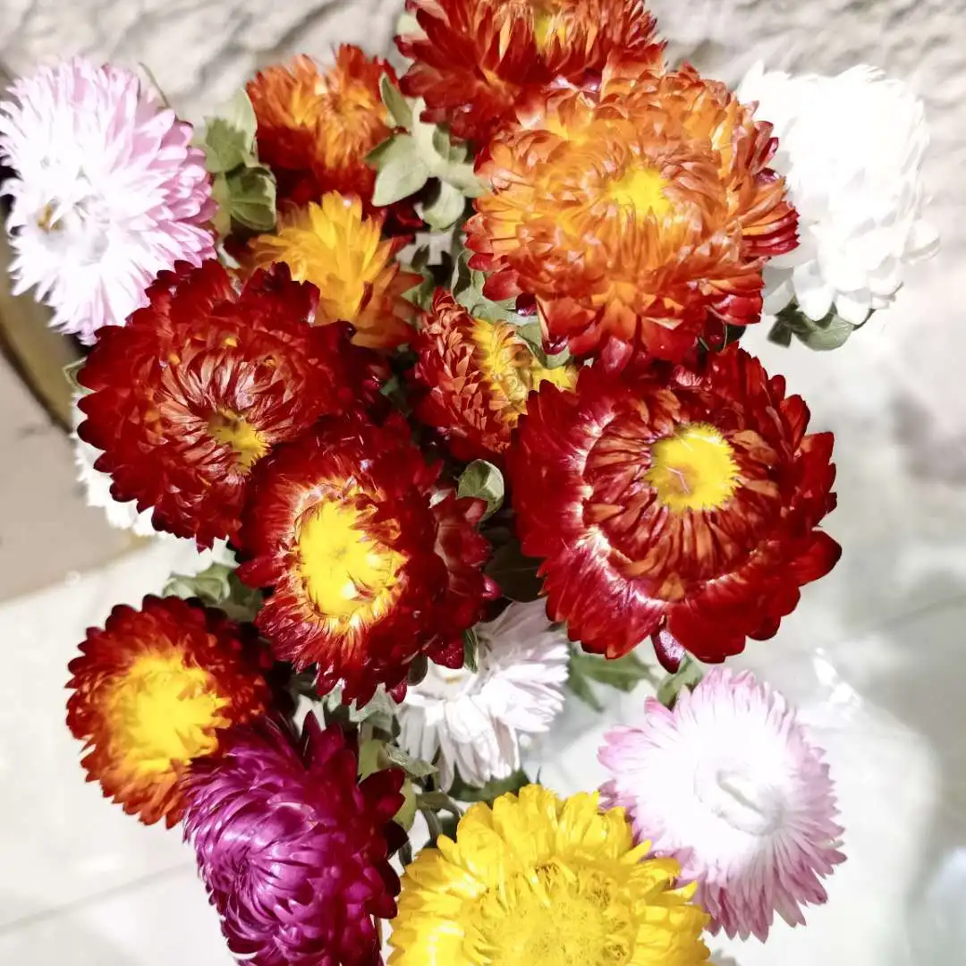  Seven color chrysanthemum gerbera dried flower eternal holiday home decoration arrangement