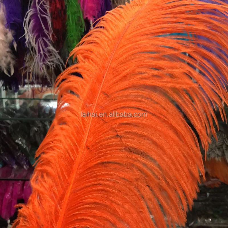 Hot Sale Cheaper ostrich feathers colored ostrich feathers 12 in