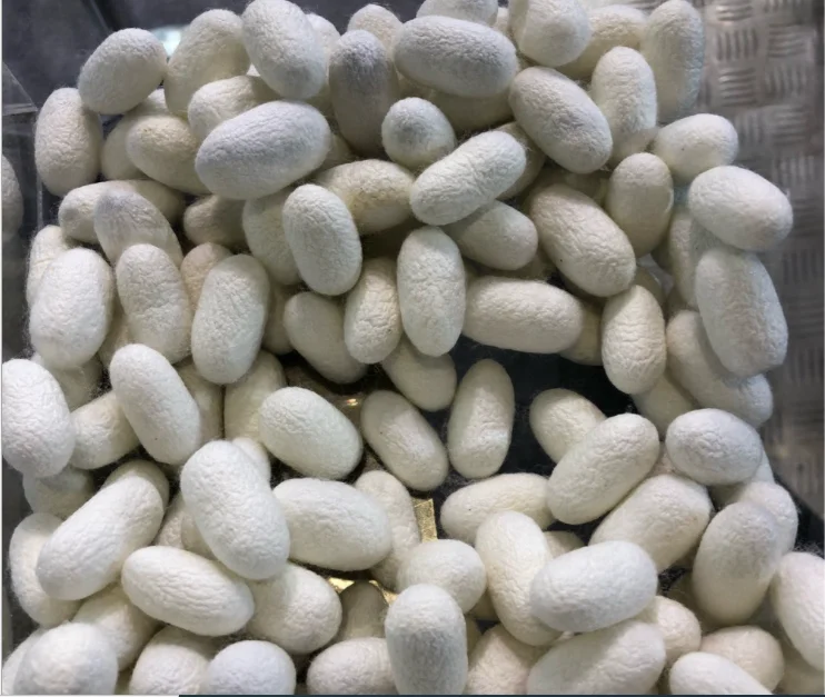 Charmkey Китай завод 20/22D 40/44D Сырье 100% натуральный шелк тутового шелкопряда 3A 4A 5A высокое качество низкая цена для плетения