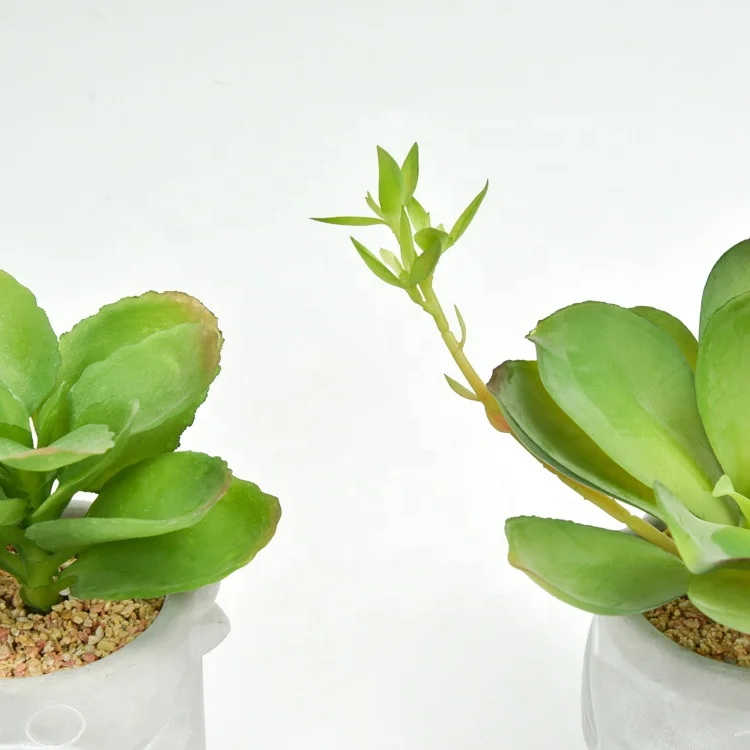 Most popular plastic green succulent plants mini faux potted artificial succulent plants with ceramic pot