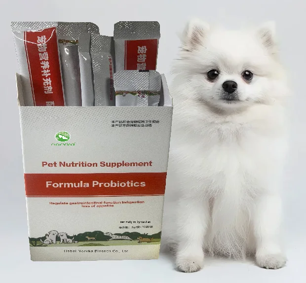 dog probiotics sachet dog probiotics with digestive enzymes for guts