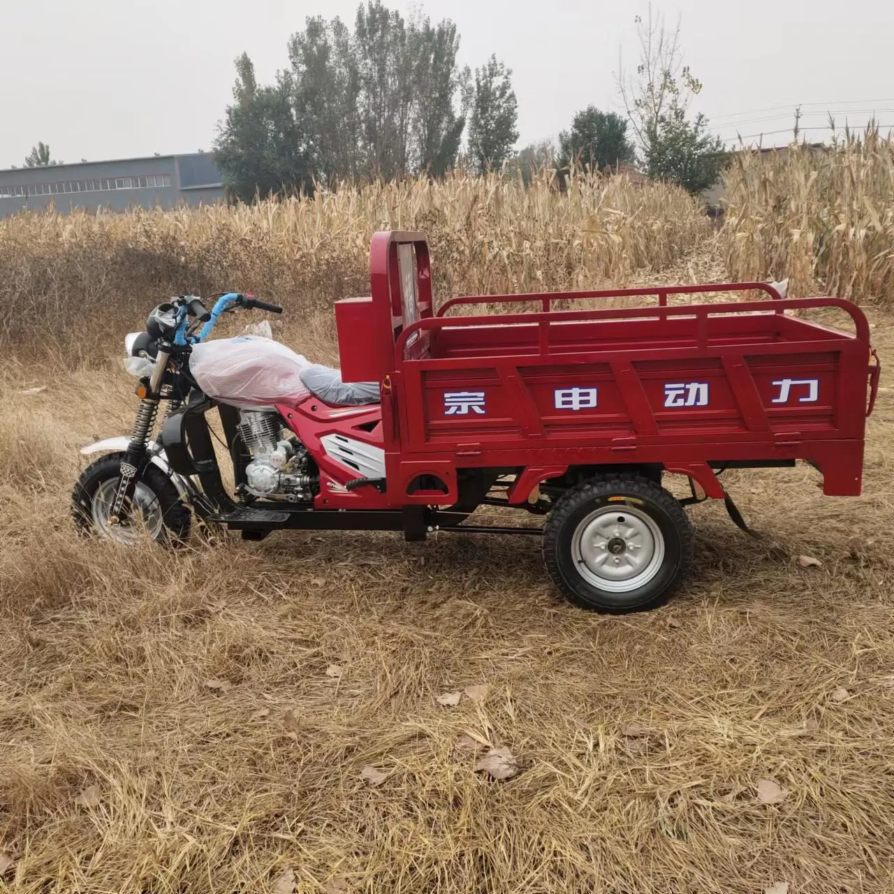 3 Wheel Motorcycle Gasoline Petrol 150cc, 200cc, 300cc Three Wheel Motorcycle For Farm Use With High Quality