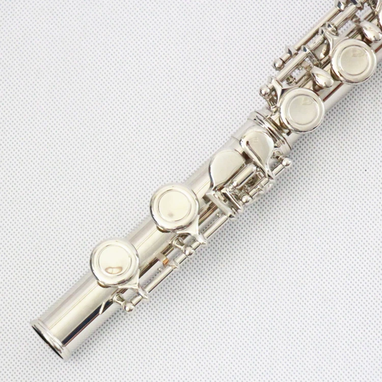 Nickel Plate 16 Close Holes E Mechanism Cupronickel Keys Flute Wholesale Price Sale With Accessories for Beginner OEM Flute Case