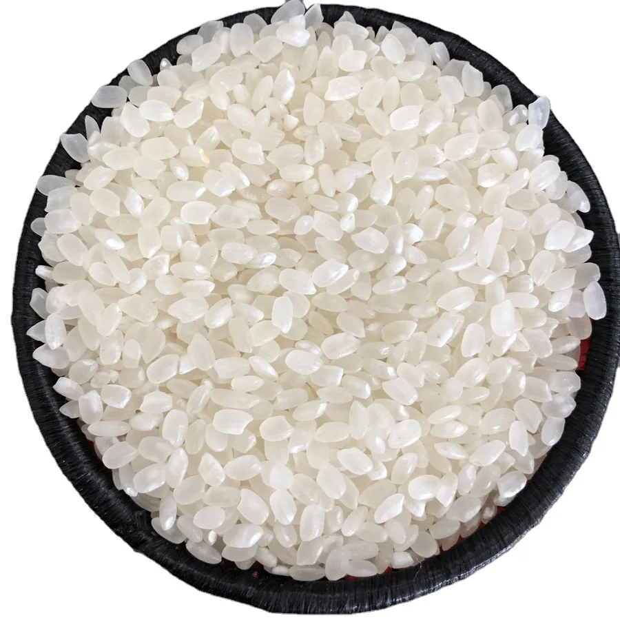JAPONICA RICE 100% JAPANESE STANDARD FOR HORECA GOOD QUALITY FOR JAPANESE DISHES - VILACONIC