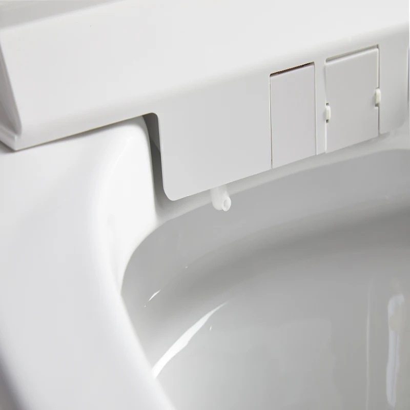 Hidden water tank European wash down bidet wall mounted smart toilet upc bowl WC floor mounted automatic intelligent toilet