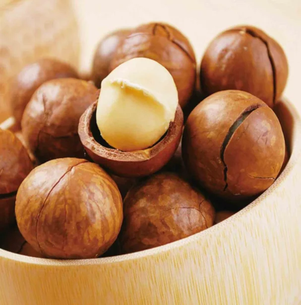 Macadamia nut baking wholesale sales