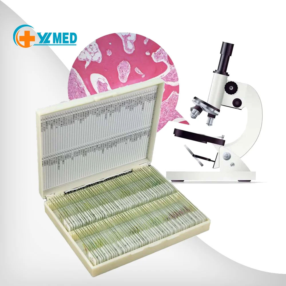 medical science Prepared Glass Microscope Slides for Student science research for human histology slides