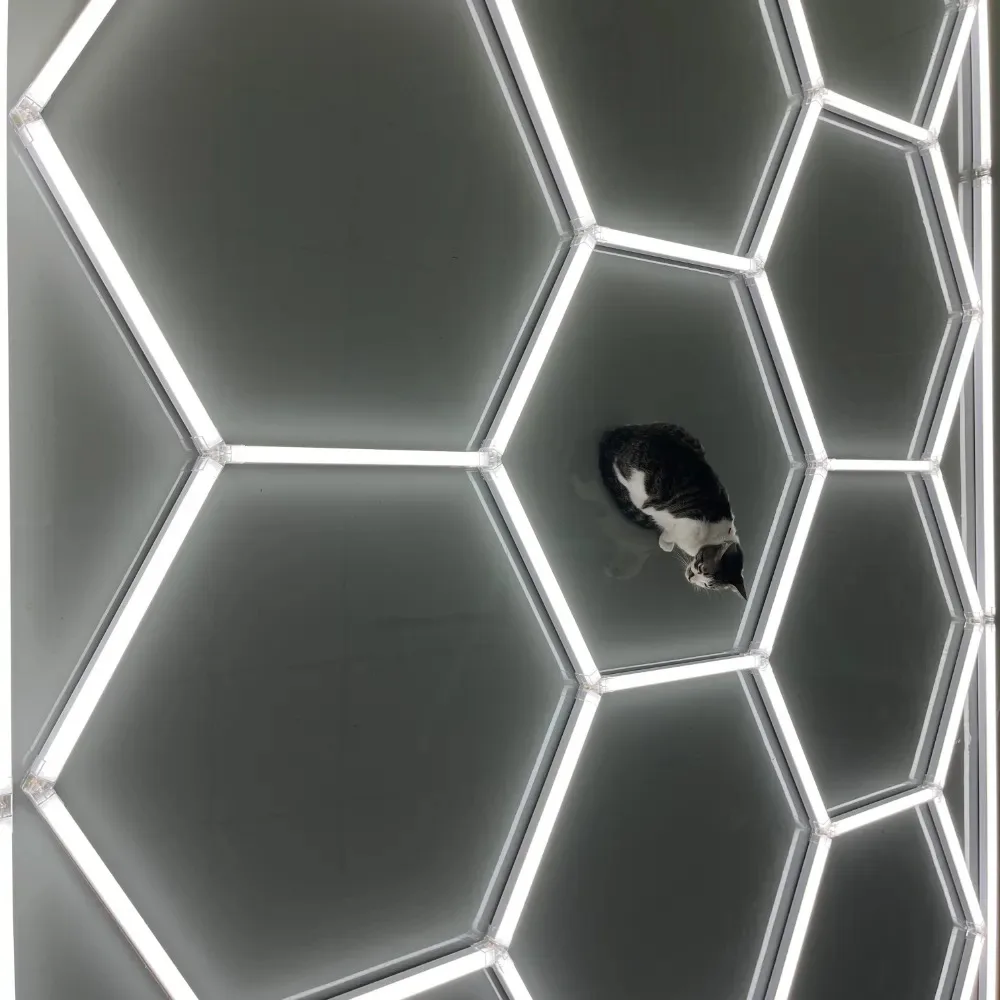 Professional Commercial Lamp Fast Connection Led Light Ceiling Light Led Hexagon Light