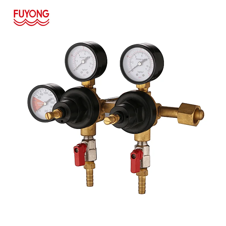 CO2 pressure regulator for beer