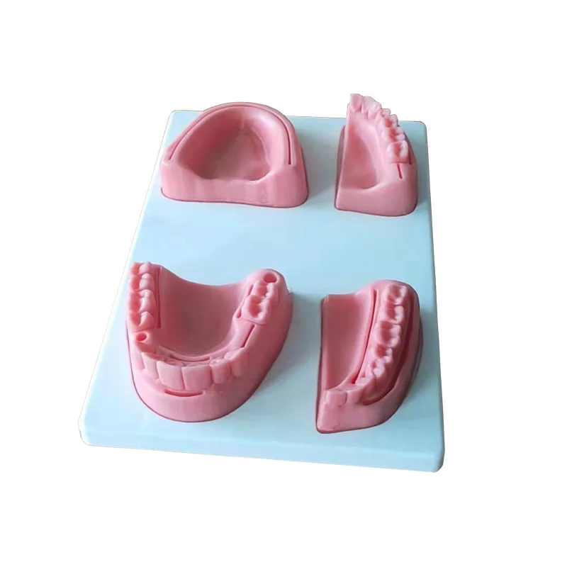 Человеческий стоматологический шовный коврик с зубцами из смолы стоматологические тренировочные модели для Шовной практики