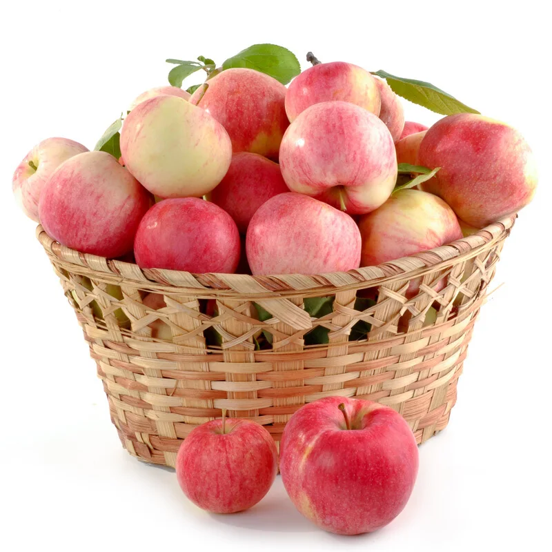 China Exports Fruits And Vegetables Wholesale High Quality Fresh Nutritious Apples Cheap Price In China