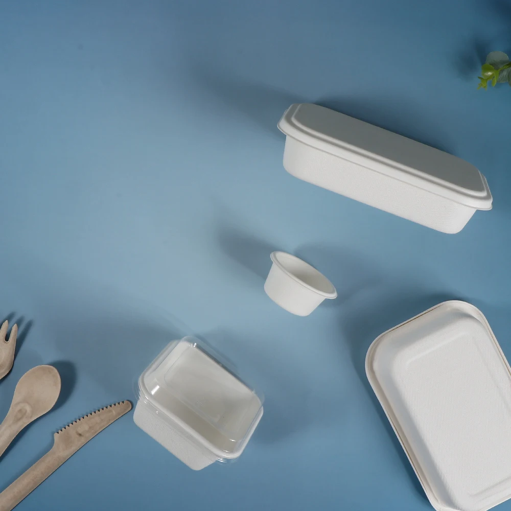 Customized Biodegradable Disposable Sugarcane Bagasse Pulp Food Container Airline Casserole