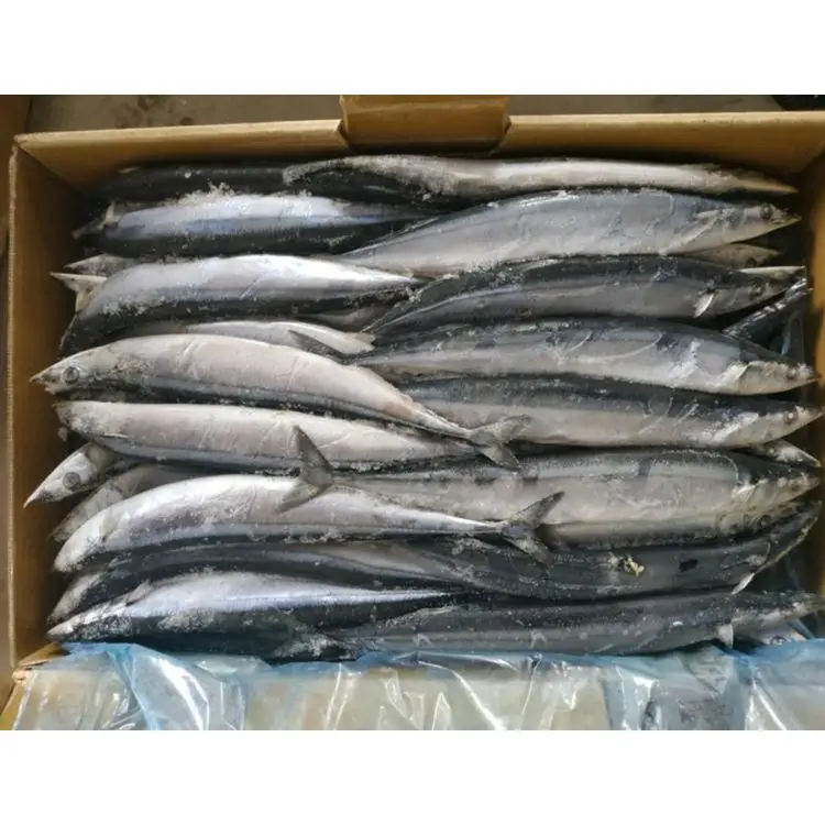 
Promotional High Quality Low Price BQF Frozen Pacific Saury Fish Whole Round for Market Sale 