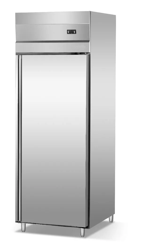 Luxury Stainless Steel Kitchen Refrigerator Kitchen Freezer Upright Chiller Fridge Refrigerator Top-freezer Refrigerator