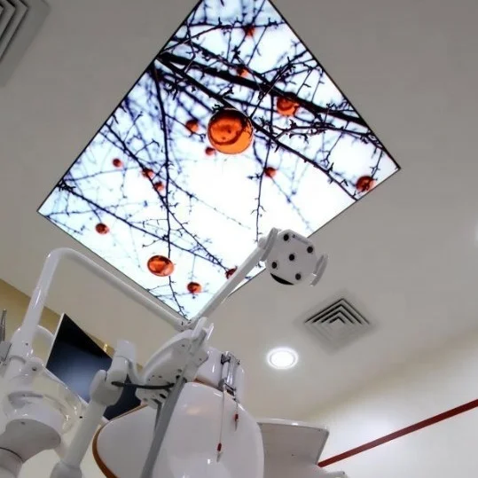 ZHIHAI new tree flower print pvc membrane sheet stretch ceiling
