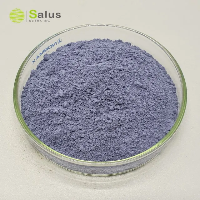 Natural Organic Butterfly Pea Flower Powder
