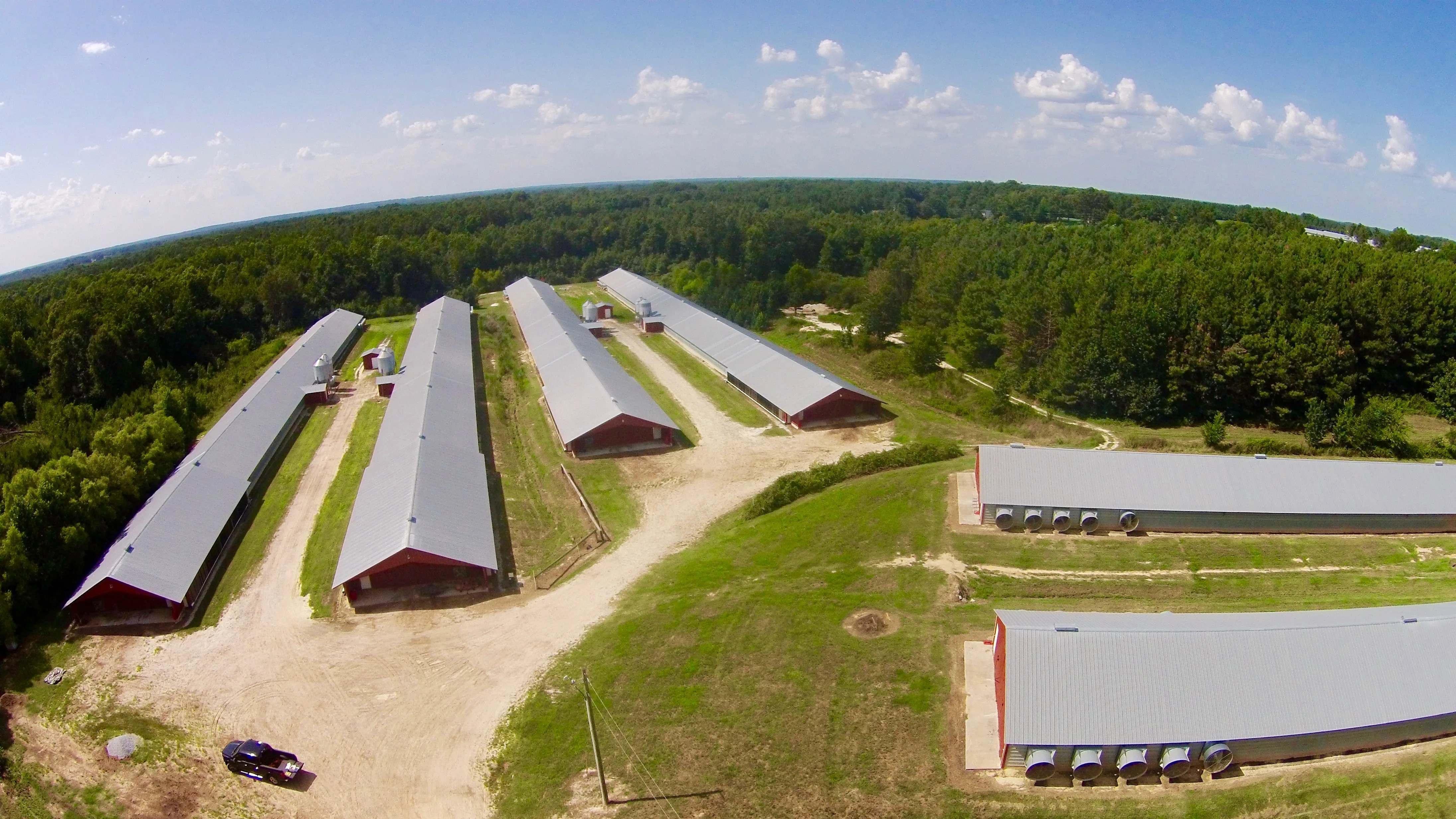 Cheap Steel Industrial Commercial Poultry Farm In Malaysia For Free Range Broiler Chicken House