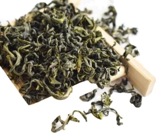 Lao shan lv cha famous chinese Qingdao Mountain Lao green tea for sale