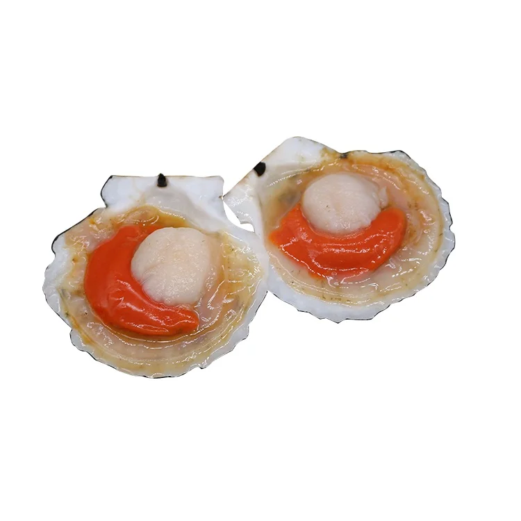 
Unique Design Hot Sale High precision quality Moon Sea Scallop Curtian 
