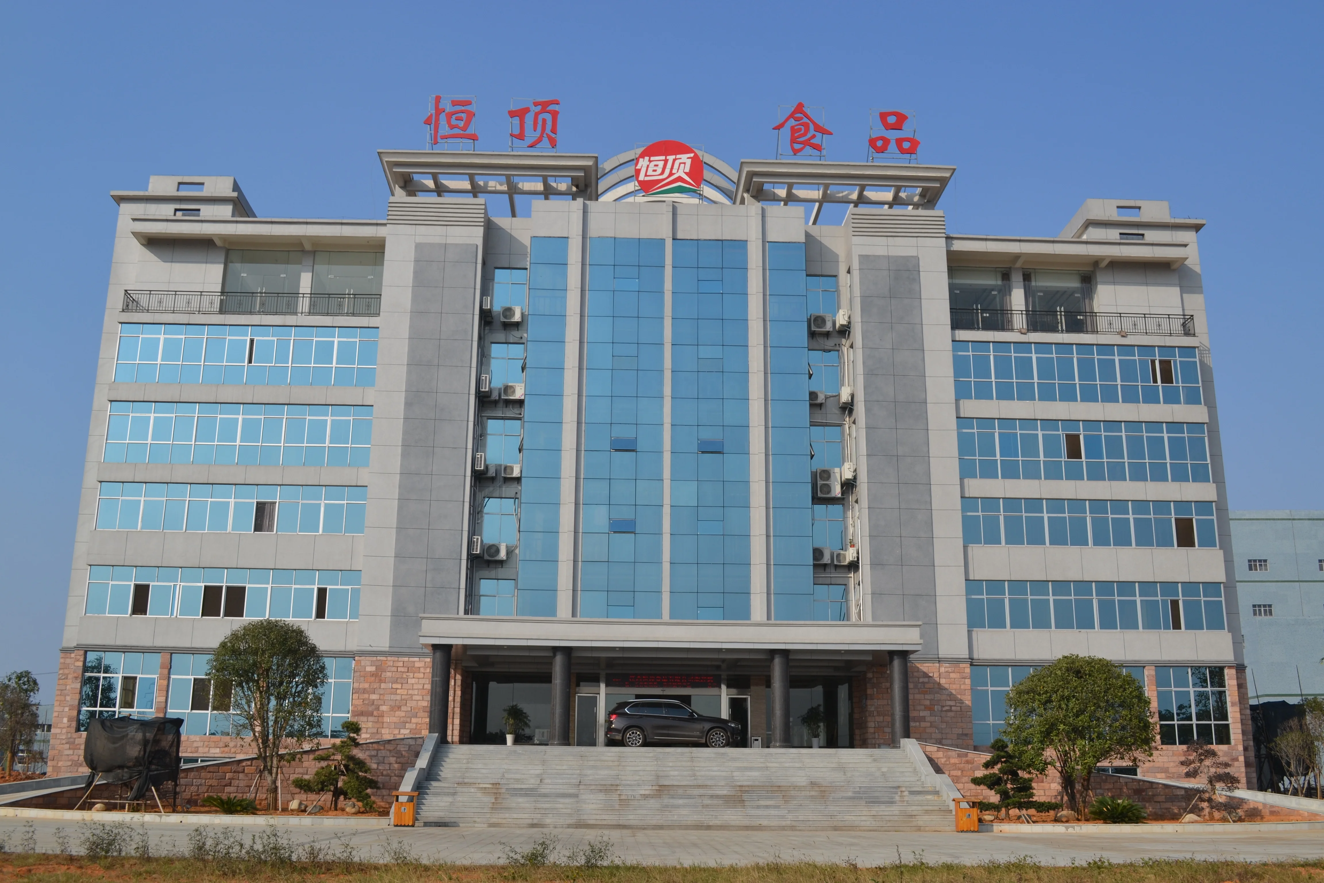  organic rice protein powder