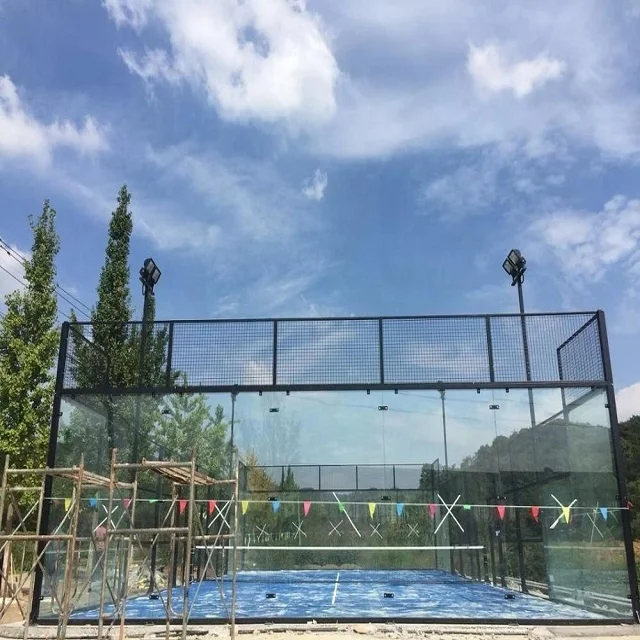 Китайский производитель, Лидер продаж, Лучшая цена, панорамная педаль типа WPT, теннисные ракетки, спортивные ракетки, б/у