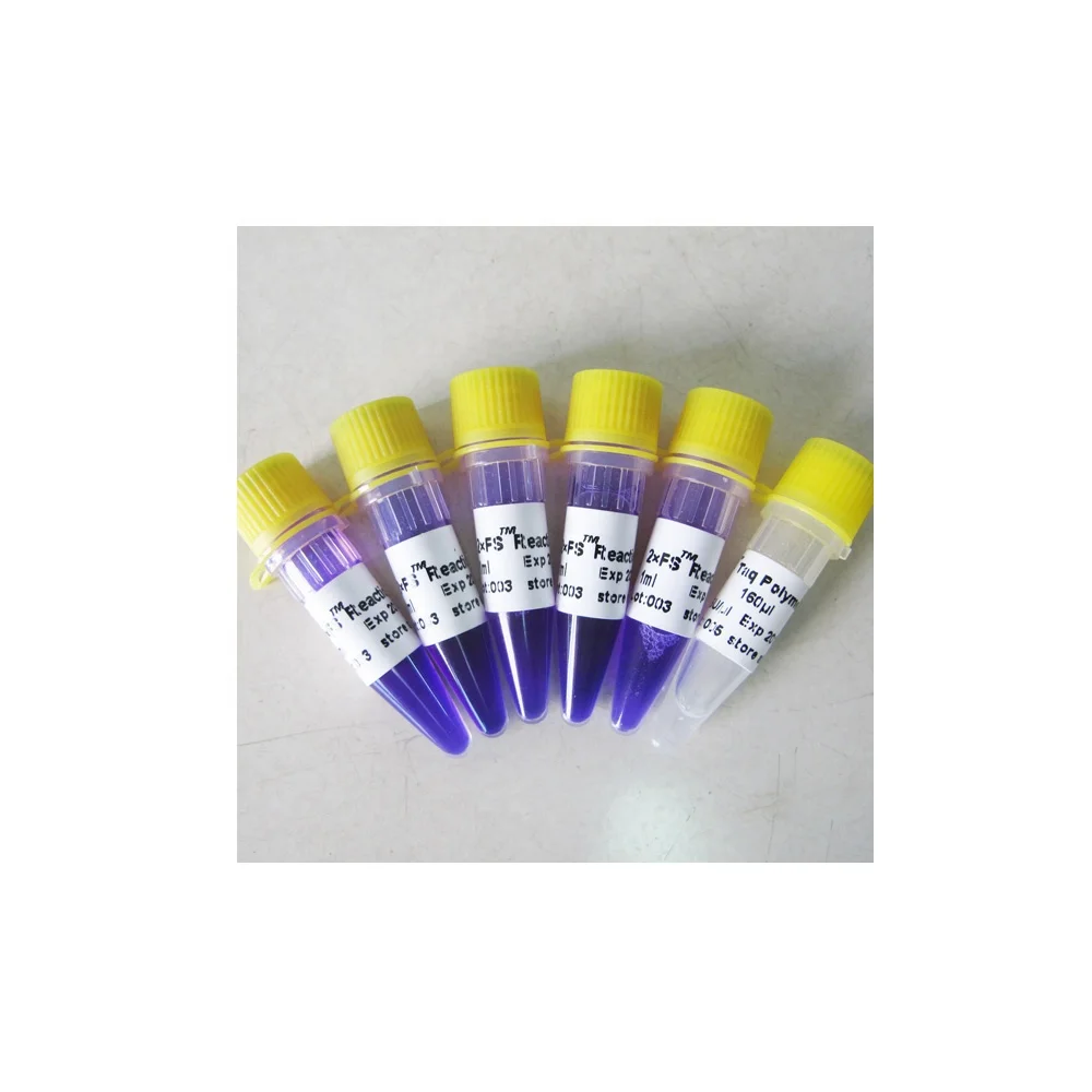 Hot start DNA polymerase FS Taq Mix, PCR master Kit, 5ML, P3072