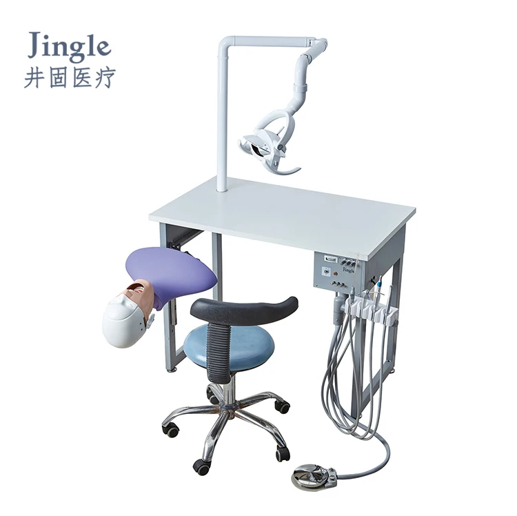 manikin dental phantom head dental simulator for training practice dental phantom head dental simulator
