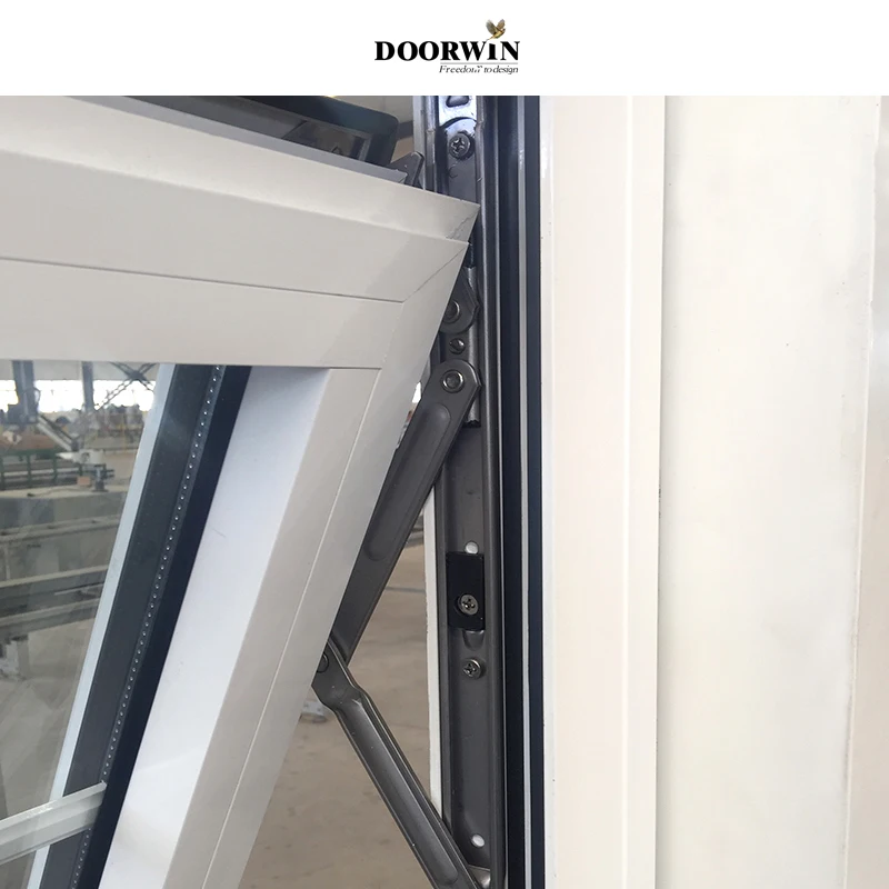 Doorwin Modern Virginia thermal break aluminum vertical sliding hollow glass dust proof awning windows