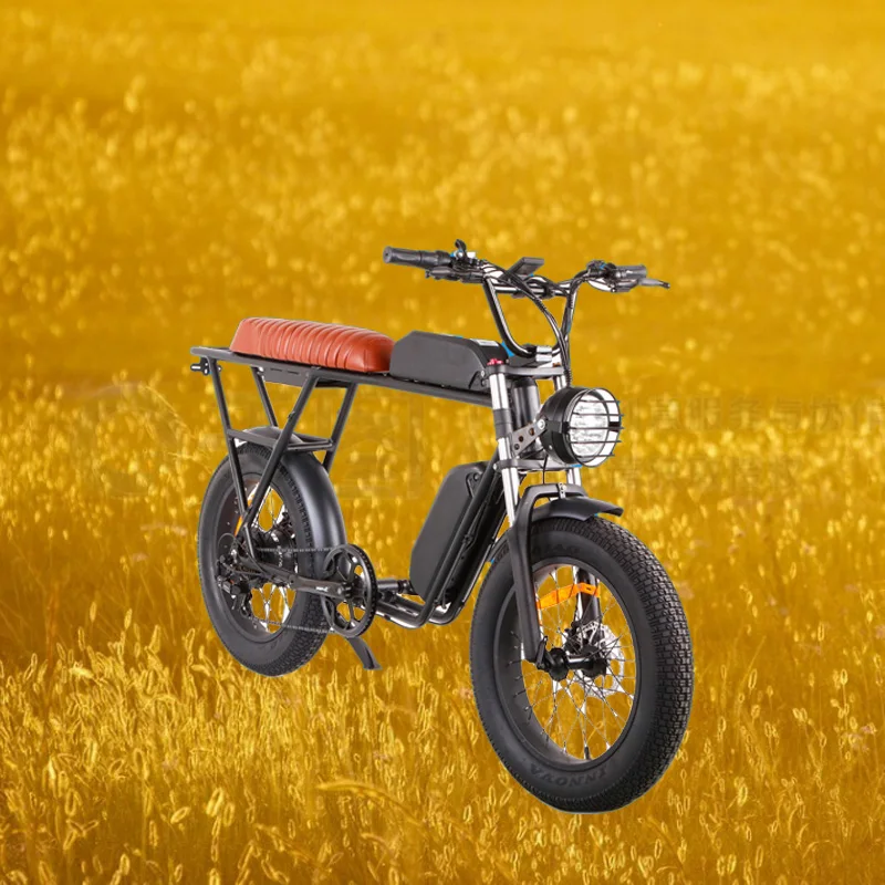 Electronic Electric City Bike/Motorcycle 15Ah Tube Fast 25 kmh Speed Sensor Throttle Velocipede Pedal LCD Instant Delivery