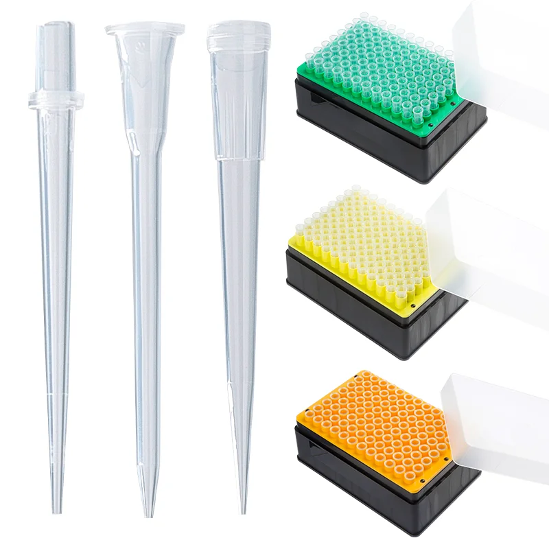 Lab Disposable Pp Plastic Filtered 10Ul Sterilized Micro Pipette Tips With Filter Rack Box 100U L 200U L 1000U L 1250U L
