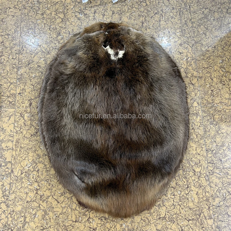 Raw Beaver Skin / Natural Real Beaver Pelt