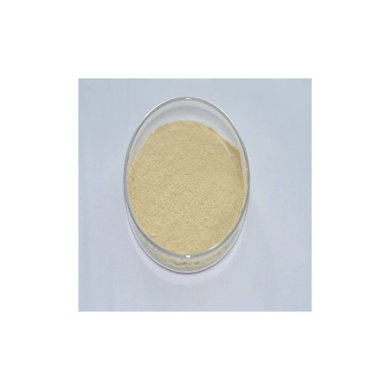 Nutritional Microorganisms Promote Growth Agriculture Organic Brevibacillus Laterosporus Fertilizer